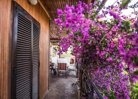 Sea House Pilion Afisos Holiday home